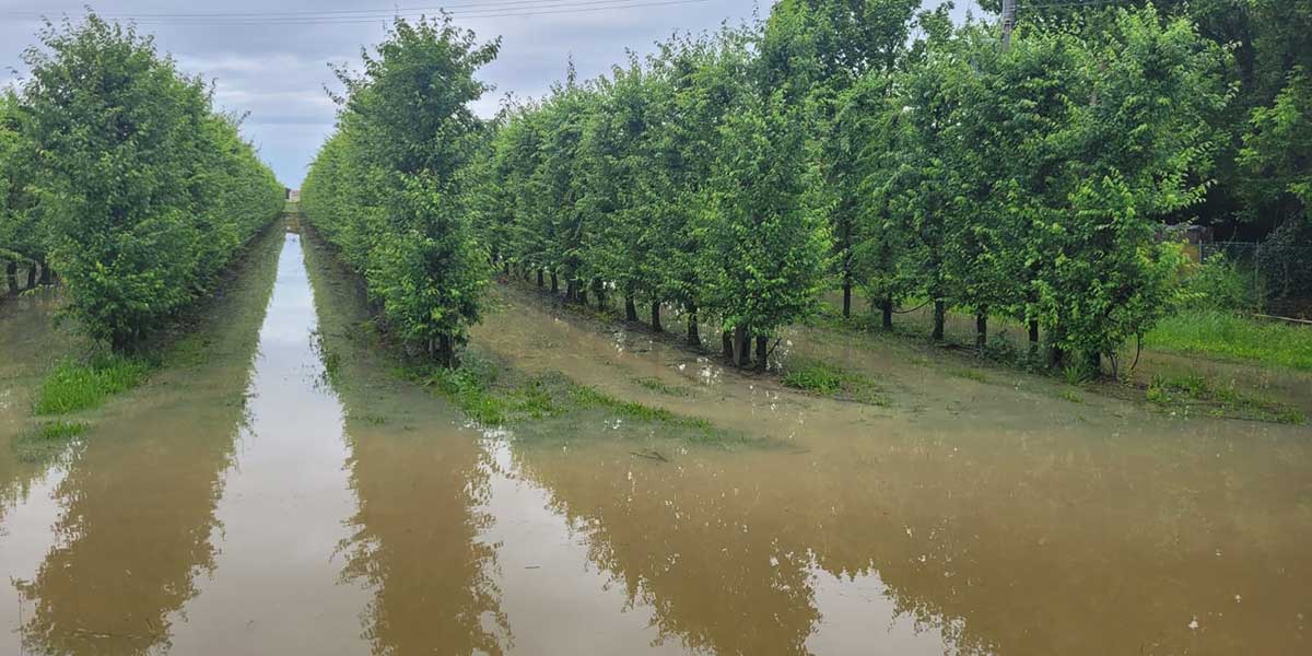 Alluvione, il 42% della superficie agricola colpito dagli eventi